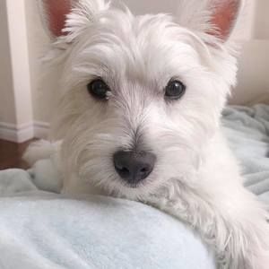 Meet your Posher, Janet